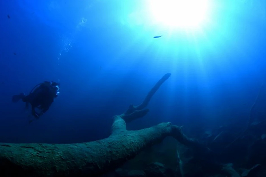 MOTOSUKO DIVE RESORT