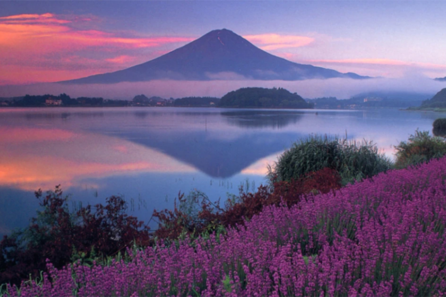 河口湖ハーブフェスティバル