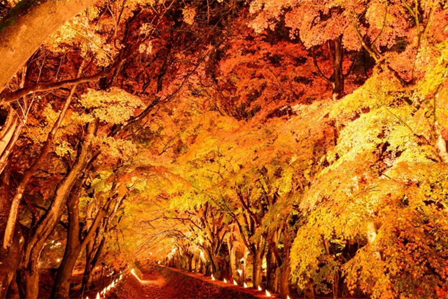 富士河口湖紅葉まつり