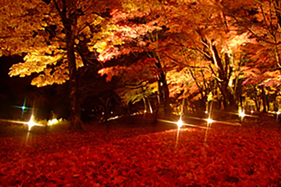 山中湖 夕焼けの渚・紅葉まつり